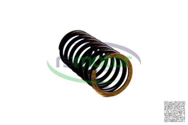 Resorte de válvula Jenbacher RS-174469 - Imagen 2