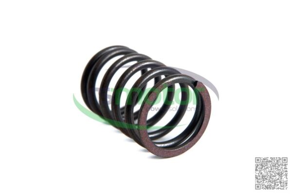 Resorte de válvula Jenbacher RS-174473 - Imagen 2