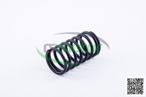 Valve spring Jenbacher RS-174479 - Image 2