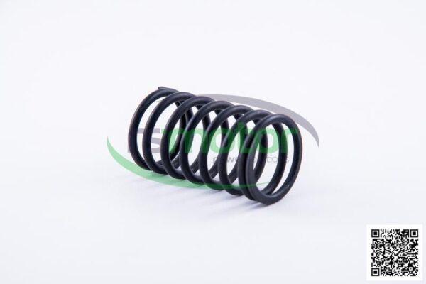 Valve spring Jenbacher RS-174479 - Image 3