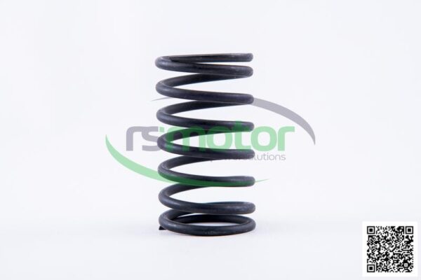 Valve spring Jenbacher RS-174479 - Image 5