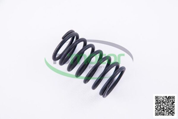 Valve spring Jenbacher RS-174479 - Image 6