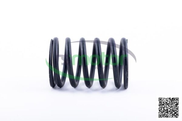 Valve Spring Jenbacher RS-174481 - Image 2