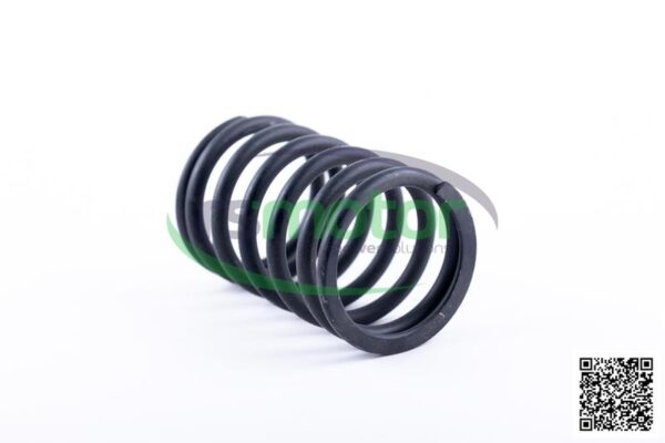 Valve Spring Jenbacher RS-174481 - Image 3