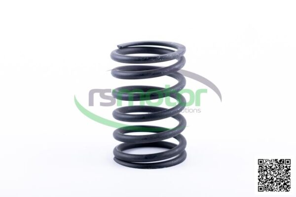 Valve Spring Jenbacher RS-174481 - Image 5