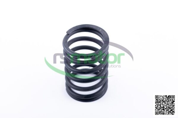Valve Spring Jenbacher RS-174481 - Image 6