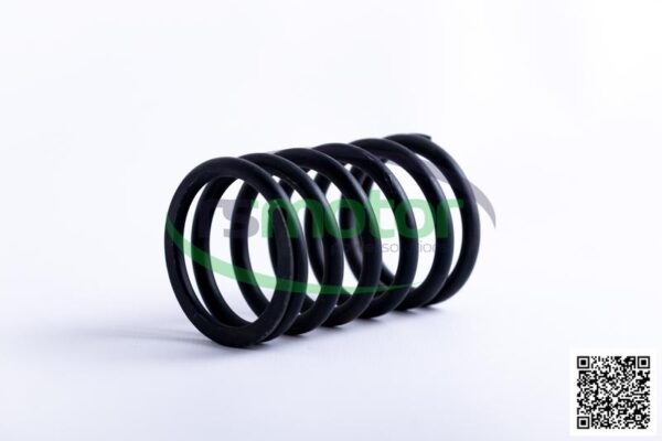 Valve Spring Jenbacher RS-174481 - Image 7