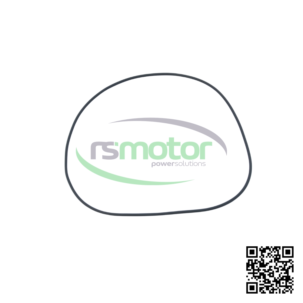 Junta tórica Jenbacher 196526 sobre un fondo blanco y con el log de "RS Motor" en el centro