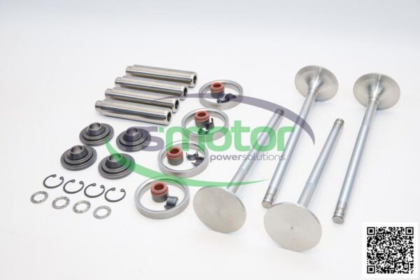 Kit De Reparación De Culata Guascor RS-1977330 - Imagen 2