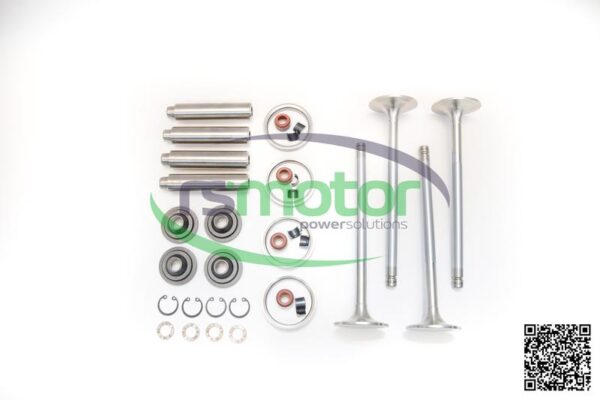 Kit De Reparación De Culata Guascor RS-1977330 - Imagen 3