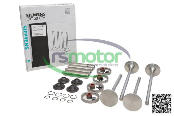 Kit De Reparación De Culata Guascor RS-1977330 - Imagen 8