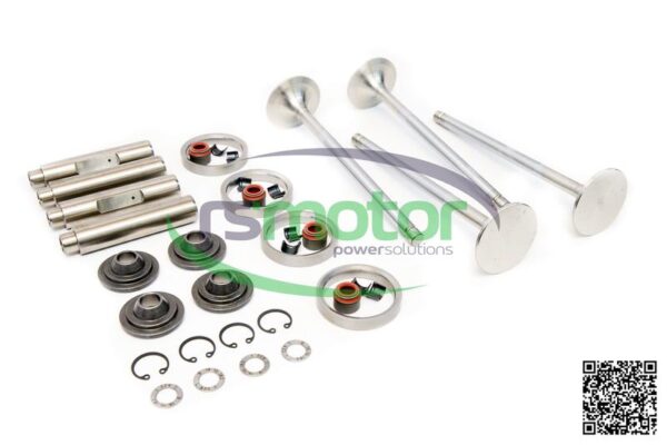 Kit De Reparación De Culata Guascor RS-1977450 - Imagen 4