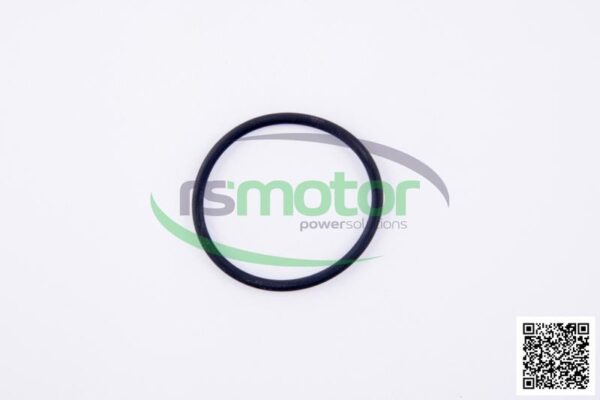 O-ring Jenbacher RS-221468 - Image 2