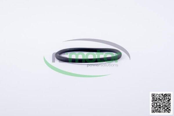 O-ring Jenbacher RS-221468 - Image 4