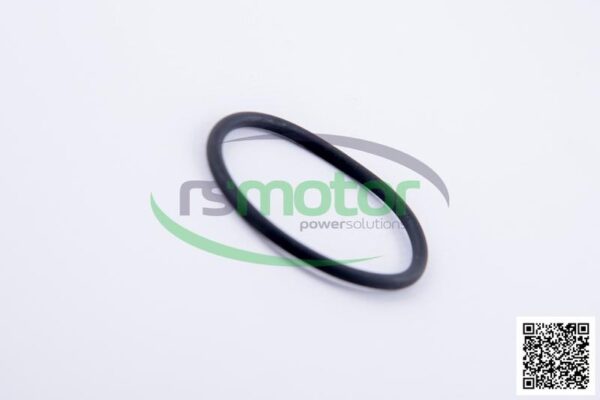 O-ring Jenbacher RS-221468 - Image 5