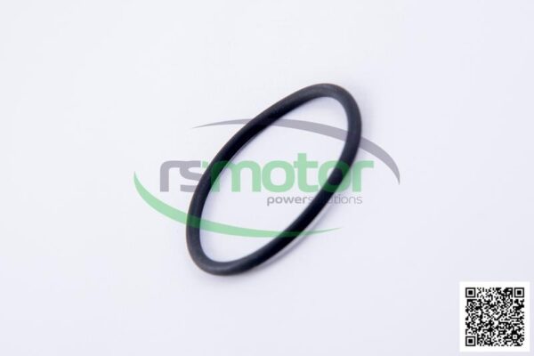 O-ring Jenbacher RS-221468 - Image 6