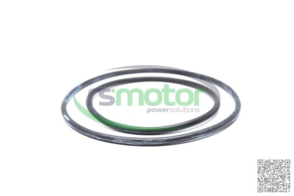 Sealing Ring DN Jenbacher RS-222725 - Image 2
