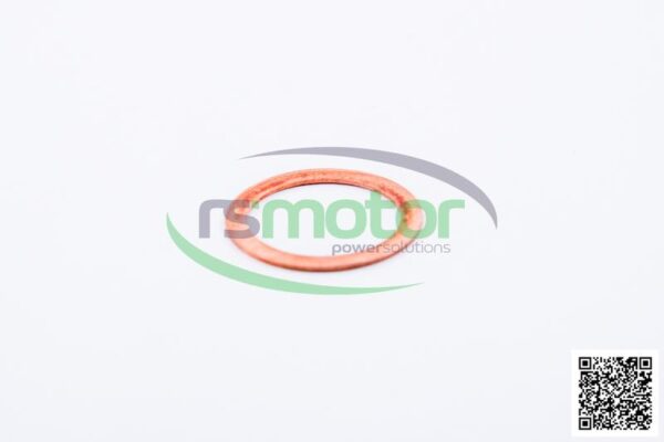 Sealing ring Jenbacher RS-223383 - Image 3