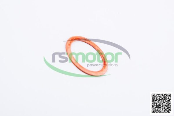 Sealing ring Jenbacher RS-223383 - Image 5