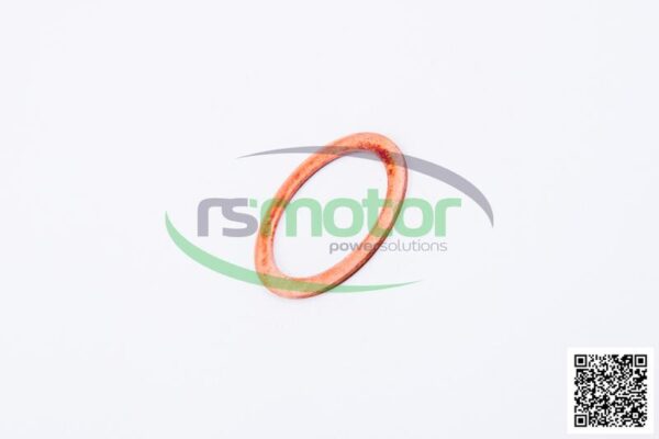 Sealing ring Jenbacher RS-223383 - Image 6