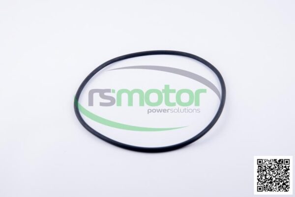 O-Ring Jenbacher RS-224577 - Image 2