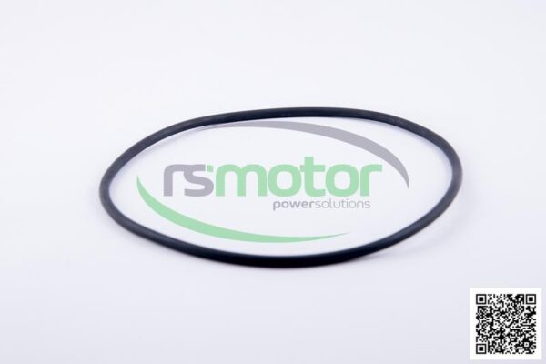 O-Ring Jenbacher RS-224577 - Image 3