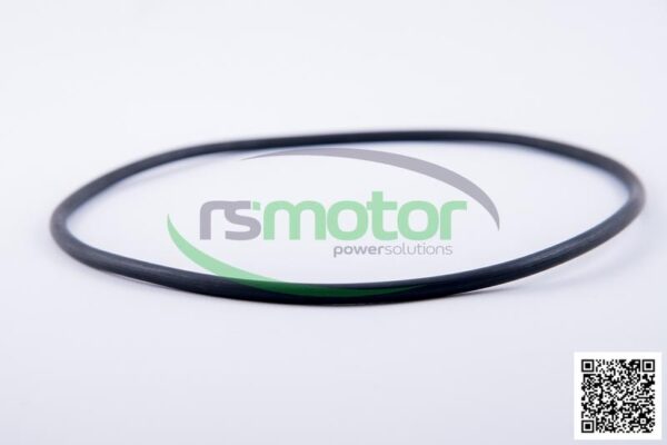 O-Ring Jenbacher RS-224577 - Image 4