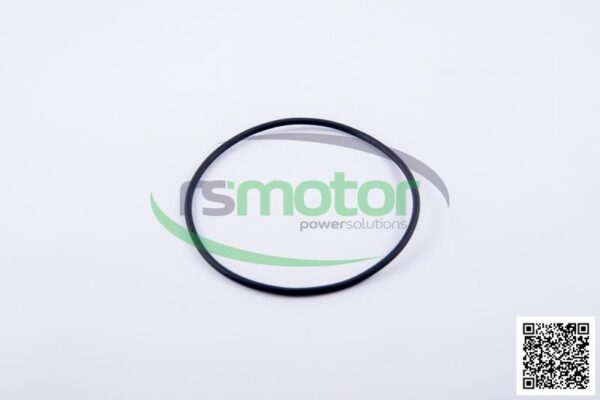 O-ring Jenbacher RS-225040 - Image 2