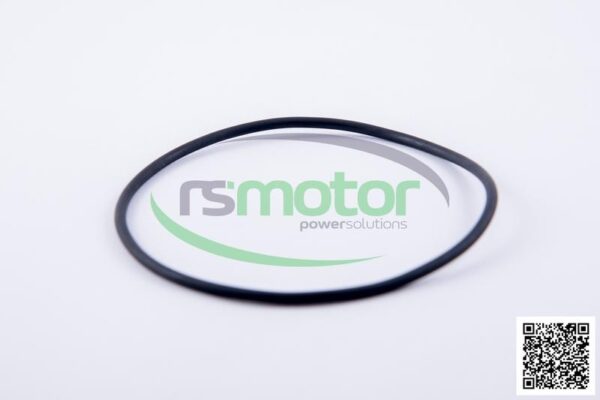 O-ring Jenbacher RS-225040 - Image 3