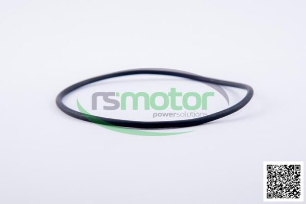 O-ring Jenbacher RS-225040 - Image 4