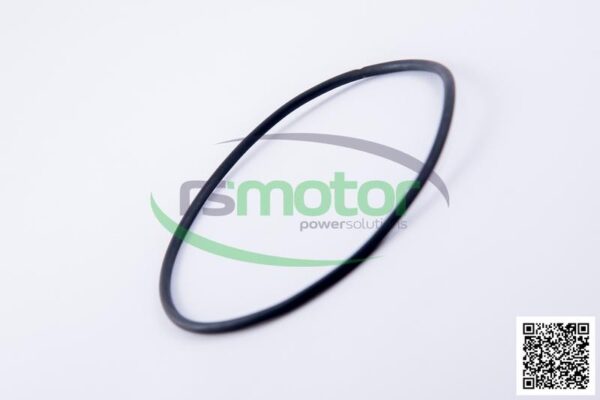 O-ring Jenbacher RS-225040 - Image 5