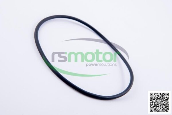 O-ring Jenbacher RS-225040 - Image 6