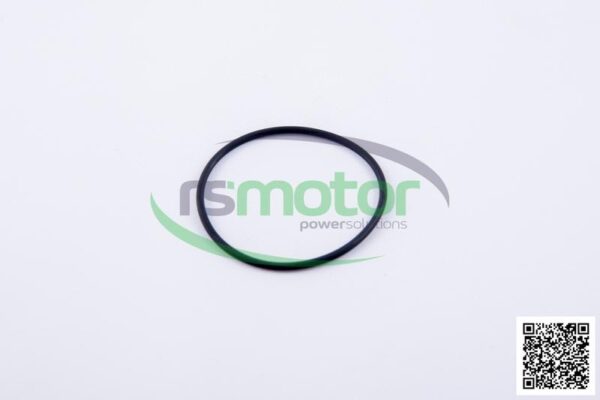 O-ring Jenbacher RS-229981 - Image 2