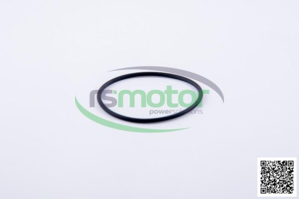 O-ring Jenbacher RS-229981 - Image 3