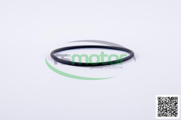O-ring Jenbacher RS-229981 - Image 4