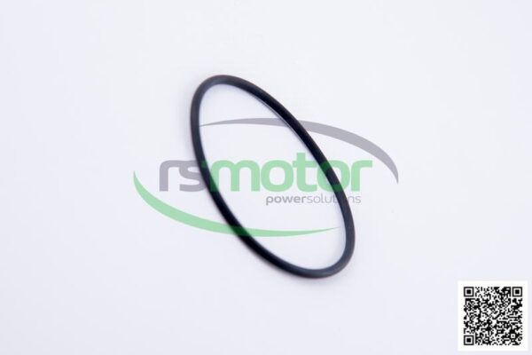 O-ring Jenbacher RS-229981 - Image 5