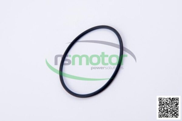 O-ring Jenbacher RS-229981 - Image 6