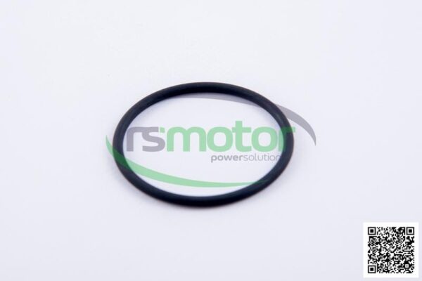 O-Ring Jenbacher RS-236907 - Image 2