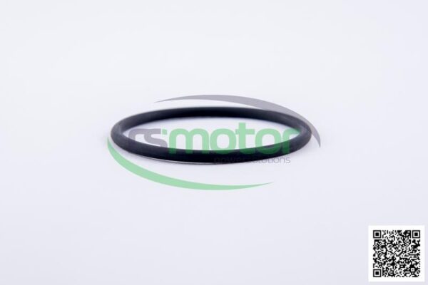 O-Ring Jenbacher RS-236907 - Image 4