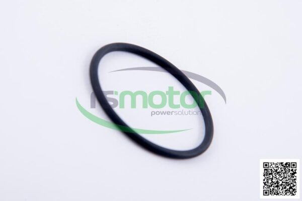 O-Ring Jenbacher RS-236907 - Image 5