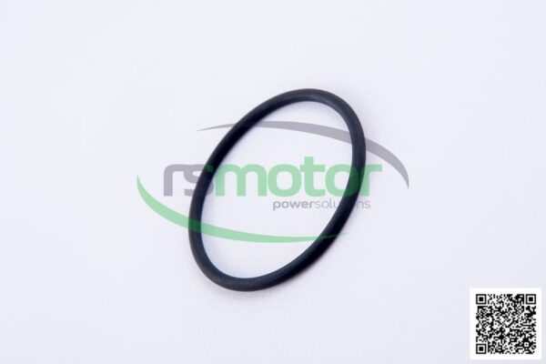 O-Ring Jenbacher RS-236907 - Image 6