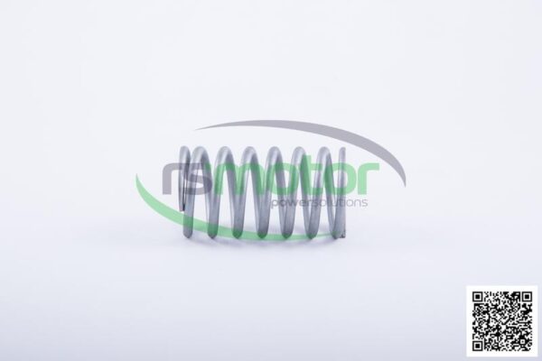 Resorte de válvula Jenbacher RS-254403 - Imagen 2