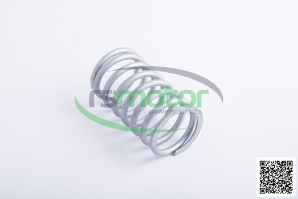Resorte de válvula Jenbacher RS-254403 - Imagen 4