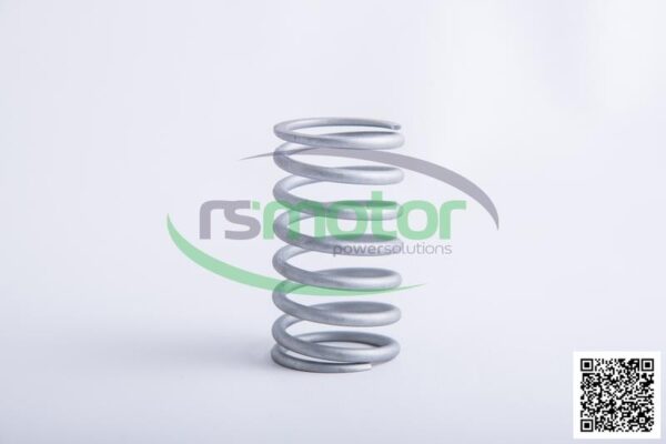 Resorte de válvula Jenbacher RS-254403 - Imagen 5