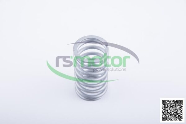 Resorte de válvula Jenbacher RS-254403 - Imagen 6