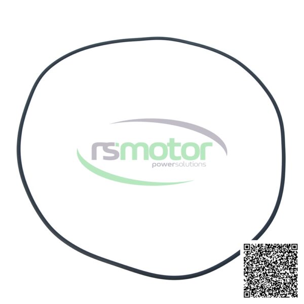 O-Ring Jenbacher RS-259035 - Image 3