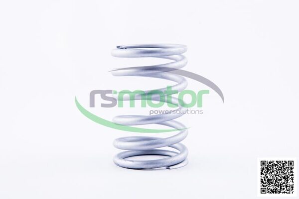 Resorte de válvula Jenbacher RS-261417 - Imagen 2