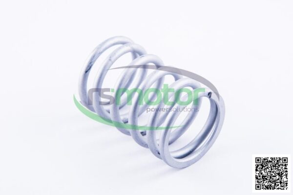 Resorte de válvula Jenbacher RS-261417 - Imagen 4