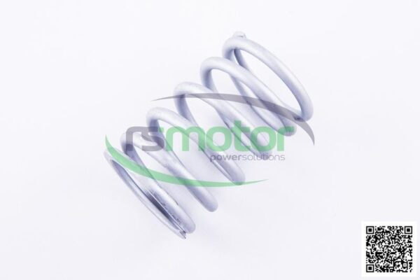 Resorte de válvula Jenbacher RS-261417 - Imagen 5