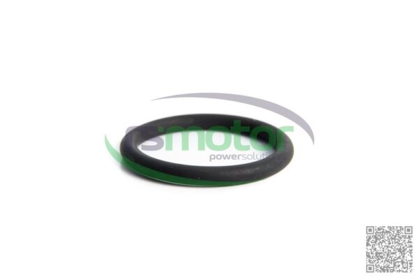 Junta tórica Jenbacher RS-300805 - Imagen 2
